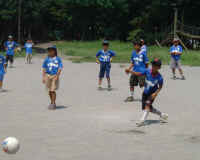 DSCF0034.JPG (41471 �o�C�g)